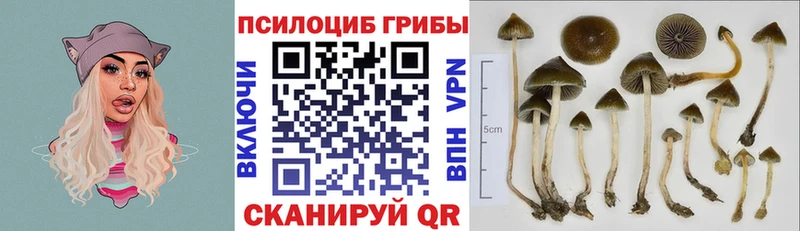 mega ONION  Карпинск  Галлюциногенные грибы мицелий 